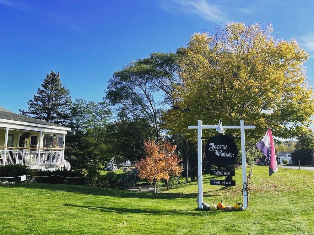 amoritas vineyards leland