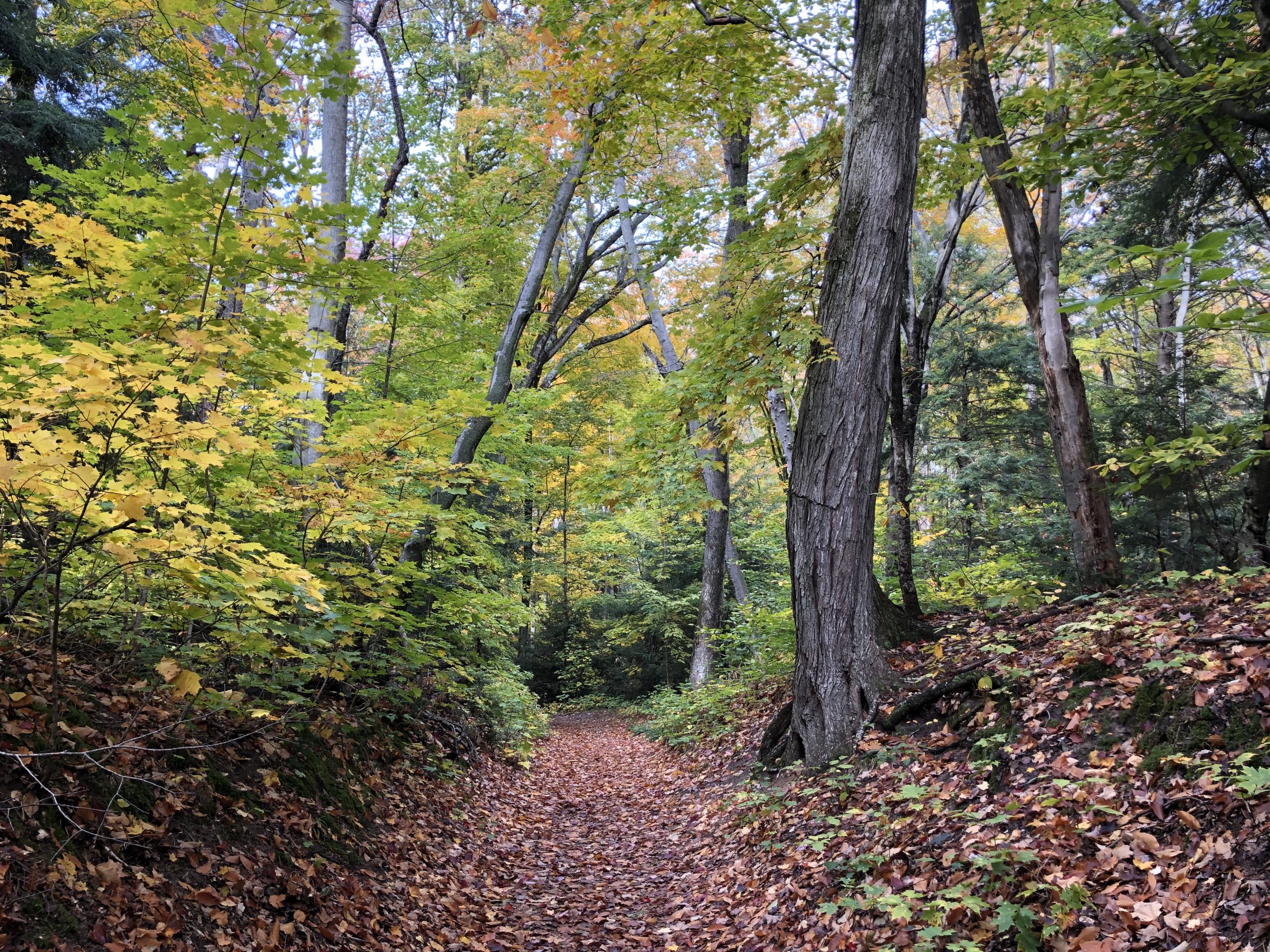 leelanau state park 3