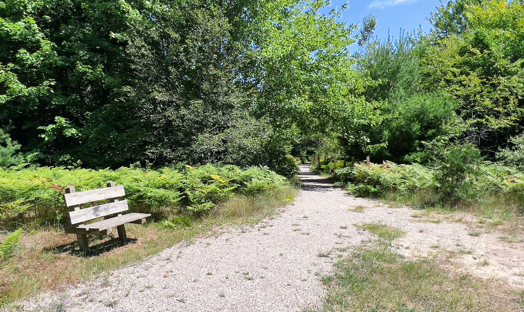 leelanau state park 4