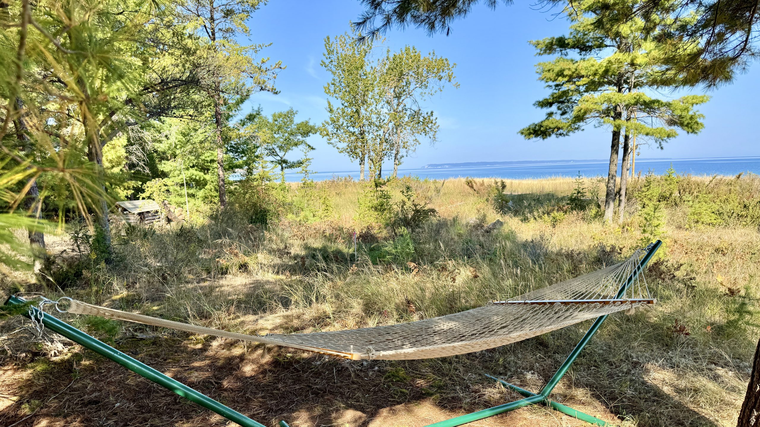 Dune grass and a garden hose beside the sandy path with trees overhead