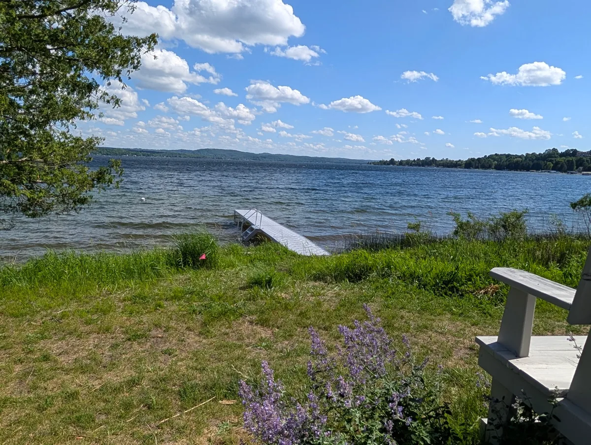 Grassy bluff top with a wooden bench and purple wildflowers overlooking a blue lake